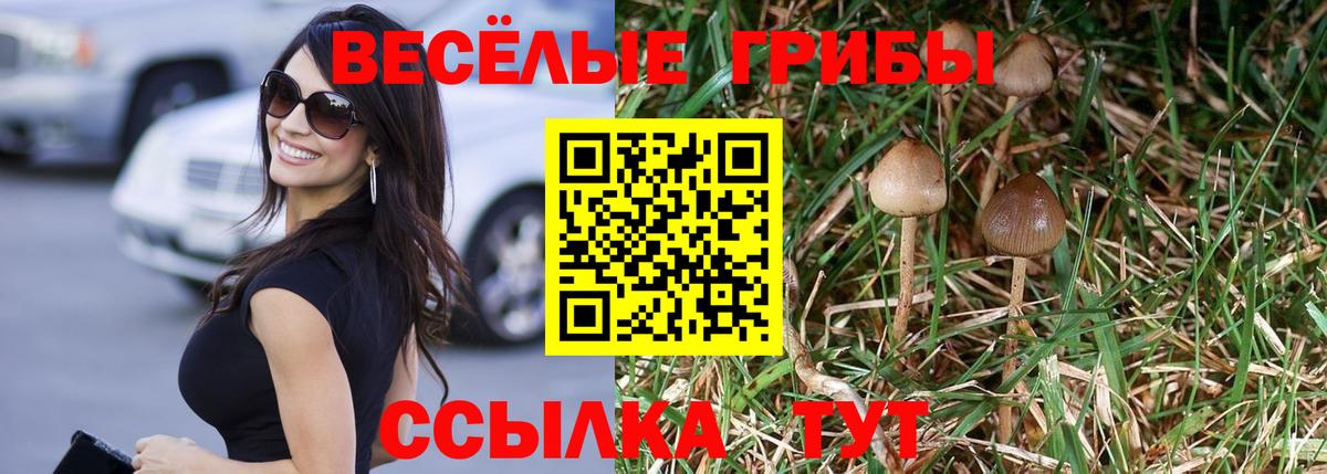 Псилоцибиновые грибы Cubensis Петропавловск-Камчатский