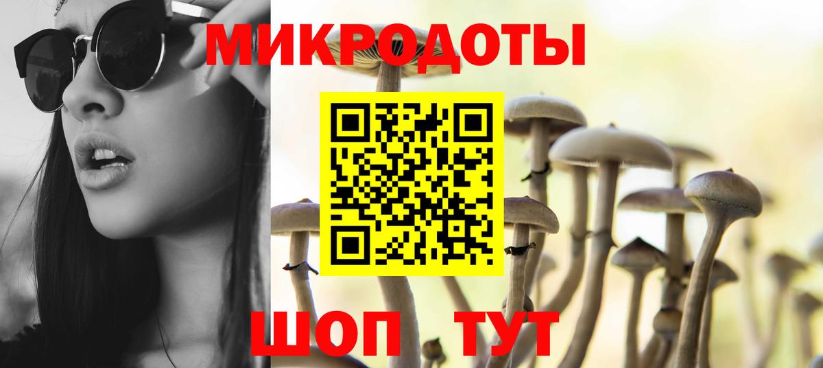 Псилоцибиновые грибы прущие грибы  Галлюциногенные грибы Cubensis  Вход с VPN  Петропавловск-Камчатский 